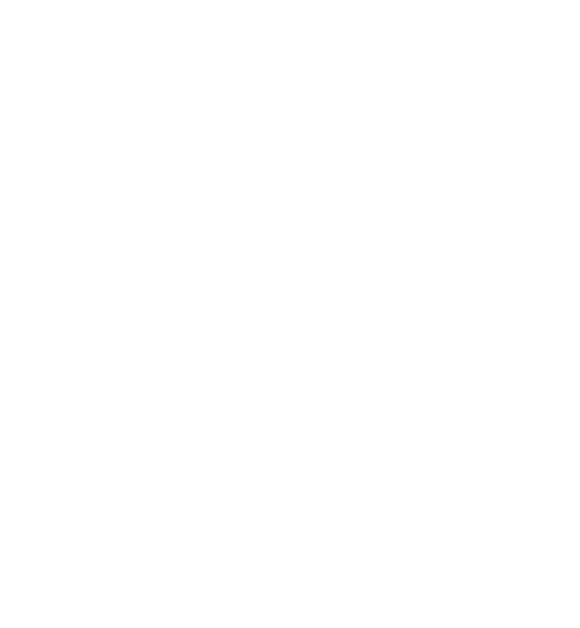 FirstOrg